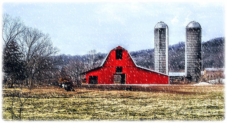 Cold Winter Day at The Farm by Peggy Franz Cold Winter Day at The Farm by Peggy Franz