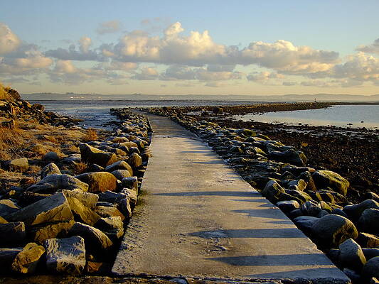 Cold Winter Path by Nigel Cameron Cold Winter Path by Nigel Cameron