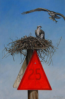 Osprey Family on Nesting Post Print