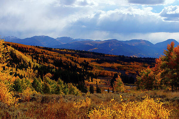 Wall Art - Photograph - Collegiate Colors by Jeremy Rhoades