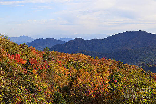 Wall Art - Photograph - Color in the Mountains by Jill Lang