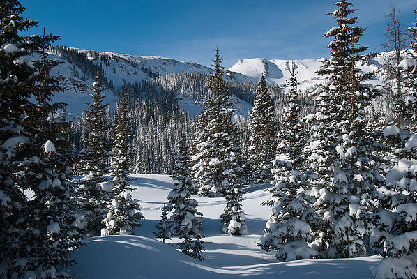 Wall Art - Photograph - Colorado Winter Landscape by Cascade Colors