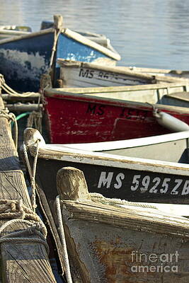 Colorful Boats at Dock by Amazing Jules Colorful Boats at Dock by Amazing Jules