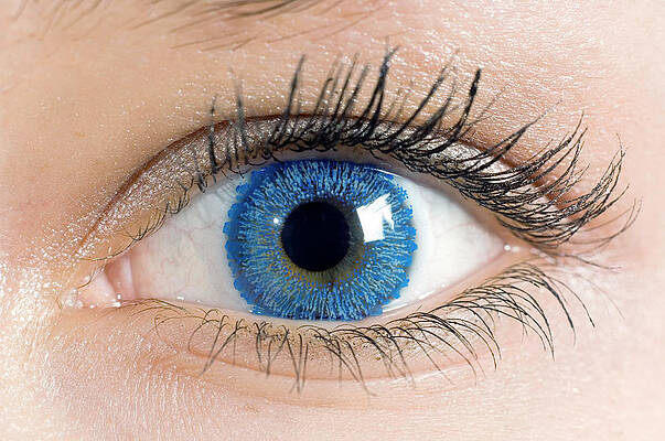 Wall Art - Photograph - Coloured Contact Lens by Science Photo Library
