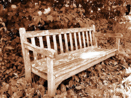 Come Sit A While by Deborah North