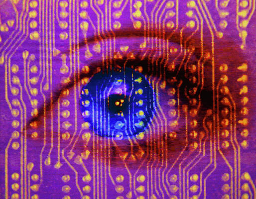 Wall Art - Photograph - Computer Graphics: Human Eye & Circuit Board by Science Photo Library