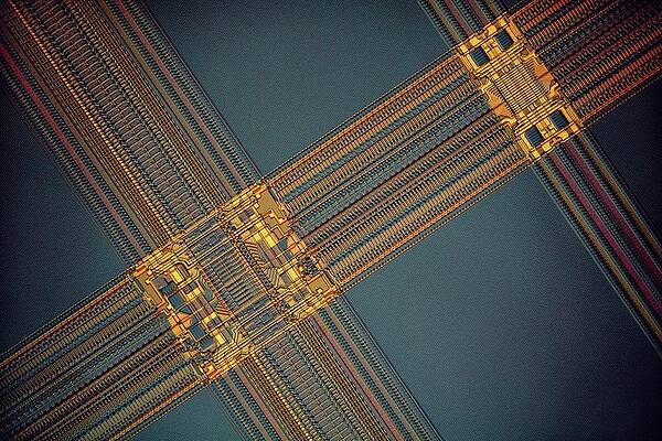Wall Art - Photograph - Computer Ram Module by Science Photo Library