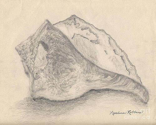 Conch Shell by Marlene Robbins