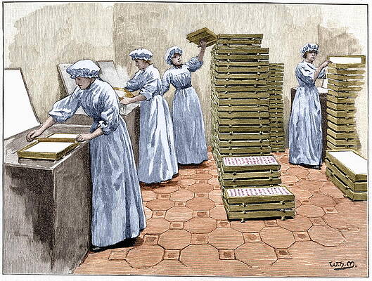 Wall Art - Photograph - Confectionery Manufacture by Science Photo Library