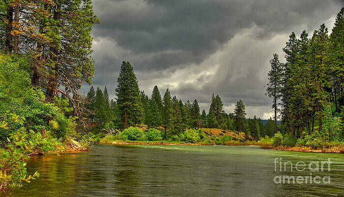 Confluence by Sam Rosen Confluence by Sam Rosen