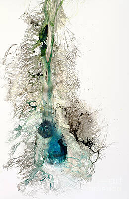 Contemplation by David W Coffin Contemplation by David W Coffin