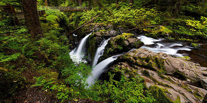 Wall Art - Photograph - Convergence by Chad Dutson