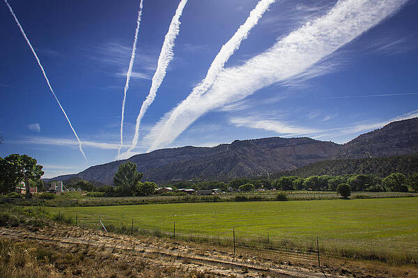 Converging Paths by Dwight Theall Converging Paths by Dwight Theall