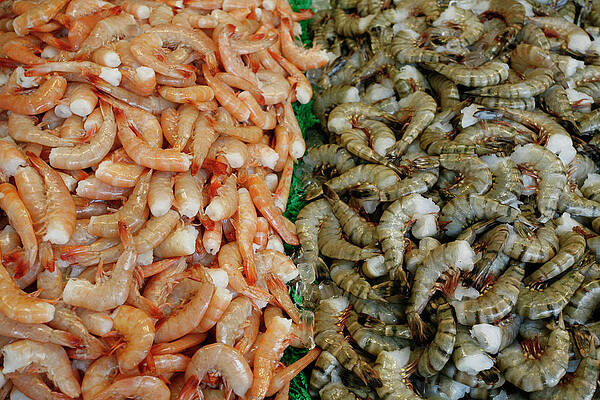 Wall Art - Photograph - Cooked And Uncooked Shrimp At The Fish by Chris Pinchbeck