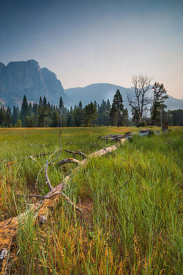 Cook's Meadow by Mike Lee Cook's Meadow by Mike Lee