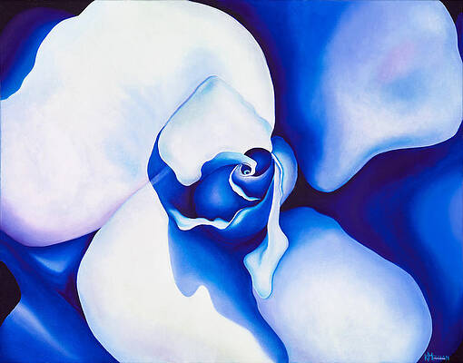 Cool Blue Rose by Kerri Meehan Cool Blue Rose by Kerri Meehan