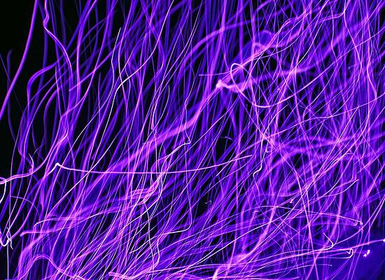 Wall Art - Photograph - Cool Breeze by Mike Murdock