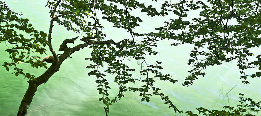 Wall Art - Photograph - Cool Water by Georgia Clare