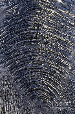 Wall Art featuring the photograph Cooled Pahoehoe Lava Wrinkles by Sami Sarkis Photography
