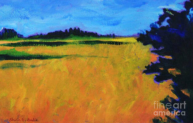 Corn Field in Fall by Shirin Shahram Badie Corn Field in Fall by Shirin Shahram Badie