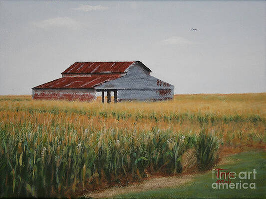  Painting - Cornfield Barn by Jimmie Bartlett