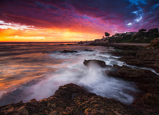 Corona Shore by Micah Dimitriadis