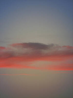Cotton Candy by Max Mullins Cotton Candy by Max Mullins