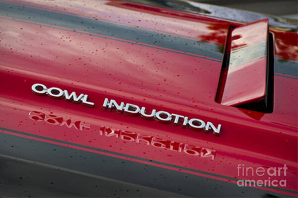 Wall Art - Photograph - Cowl Induction by Dennis Hedberg