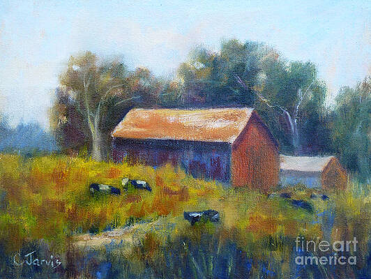 Cows by the Barn by Carolyn Jarvis Cows by the Barn by Carolyn Jarvis