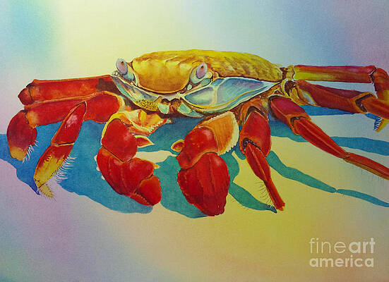 Colorful Crab by Greg and Linda Halom Colorful Crab by Greg and Linda Halom