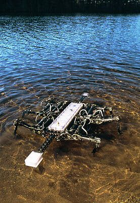 Wall Art - Photograph - Crab Robot by Science Photo Library