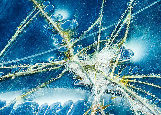 Wall Art - Photograph - Cracked by Georgette Grossman