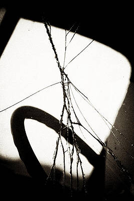 Wall Art - Photograph - Cracked window by John Nelson