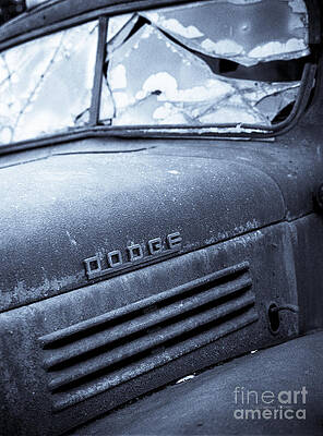 Wall Art - Photograph - Cracked with Selenium Toning by Gordon Wood