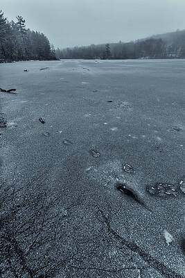 Wall Art - Photograph - Cracks and Tracks by Bryan Bzdula