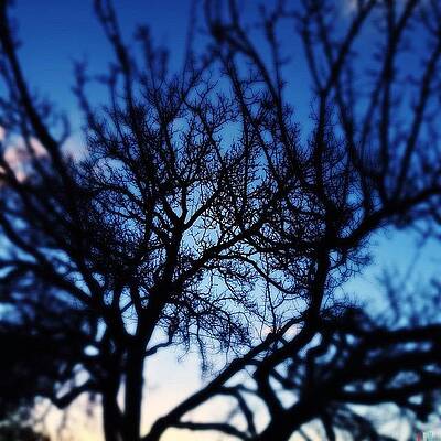 Wall Art - Photograph - Creeping Dusk by Mark David Gerson