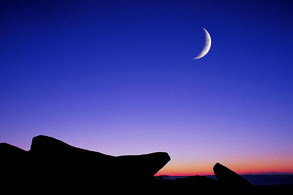 Wall Art - Photograph - Crescent Moon Halibut Pt. by Michael Hubley
