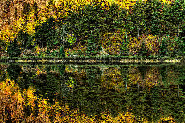 Wall Art - Photograph - Crescent Reflection by Jakub Sisak