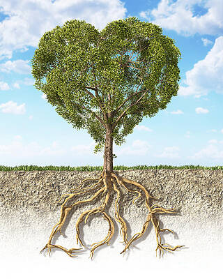 Wall Art - Digital Art - Cross Section Of Soil Showing by Leonello Calvetti