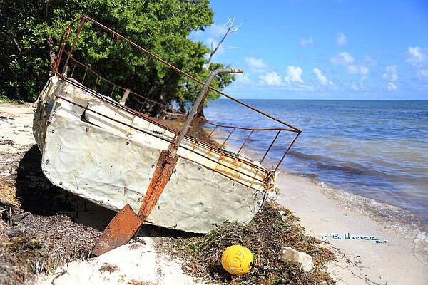 Wall Art - Photograph - Cuban Chug Looking East by R B Harper