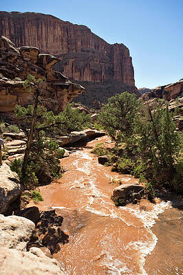 Wall Art - Photograph - Culvert Canyon Flash Flooding Shortly by Whit Richardson