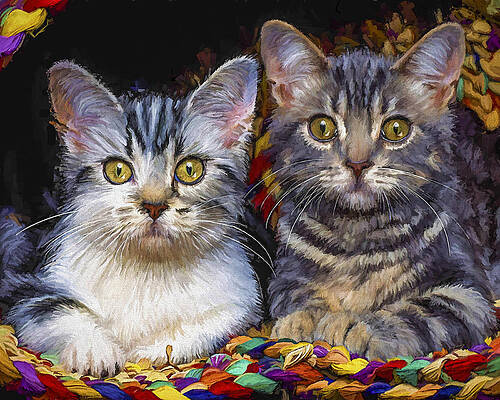 Curious Kitties by David Wagner Curious Kitties by David Wagner