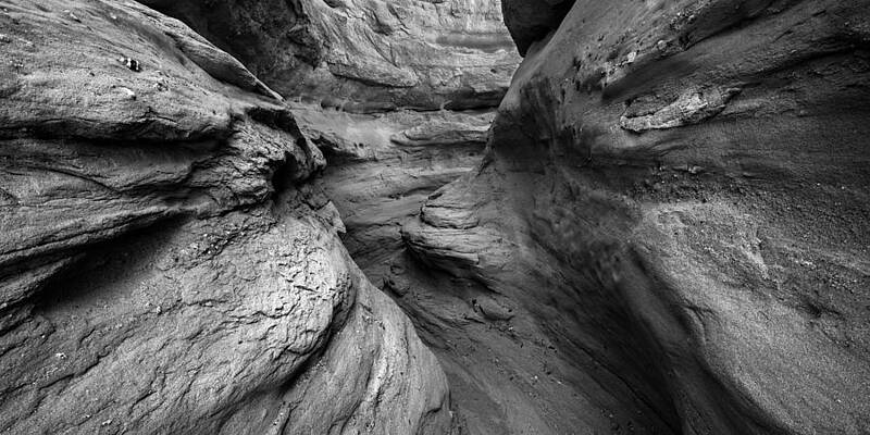 Wall Art - Photograph - Curve by Alexander Kunz