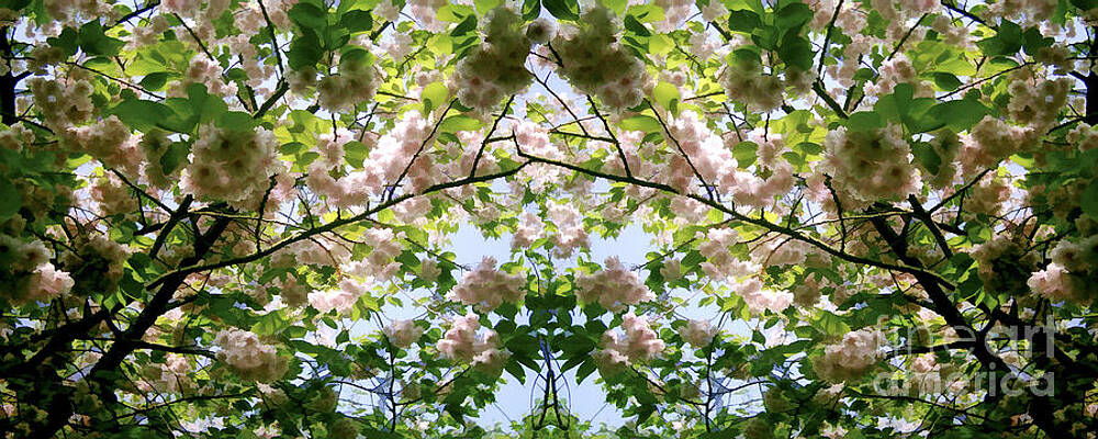 Cycle 3 - Summer by David Hargreaves Cycle 3 - Summer by David Hargreaves