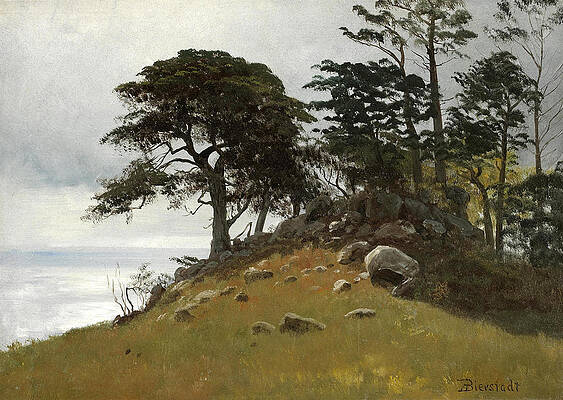 Cypress Point Monterey Print by Albert Bierstadt