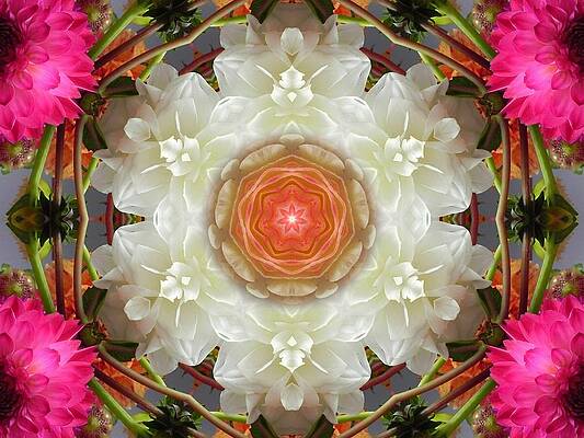 Dahlia Portal Mandala by Diane Lynn Hix Dahlia Portal Mandala by Diane Lynn Hix