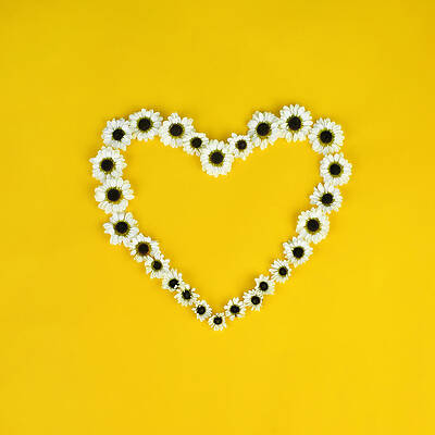 Daisy Heart Print by Juj Winn