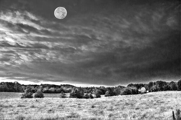 Wall Art - Photograph - Dancin' in the Moonlight by William Fields