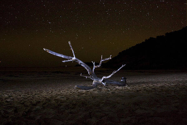 Dancing Drifter by Brent L Ander Dancing Drifter by Brent L Ander