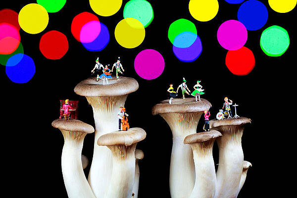 Dancing on mushroom under starry night by Paul Ge Dancing on mushroom under starry night by Paul Ge